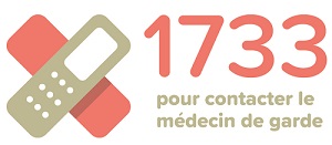 1733 logo FR réduit