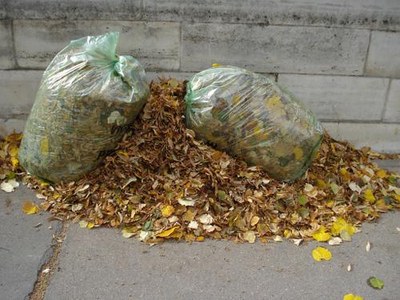 feuilles mortes et sac plastique